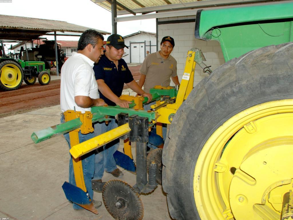 តេស្តនិងពិនិត្យក្នុងការអប់រំ